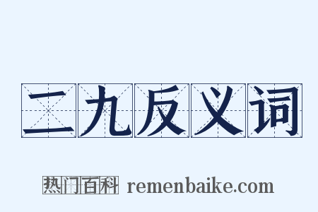 二九反义词是什么意思的图片
